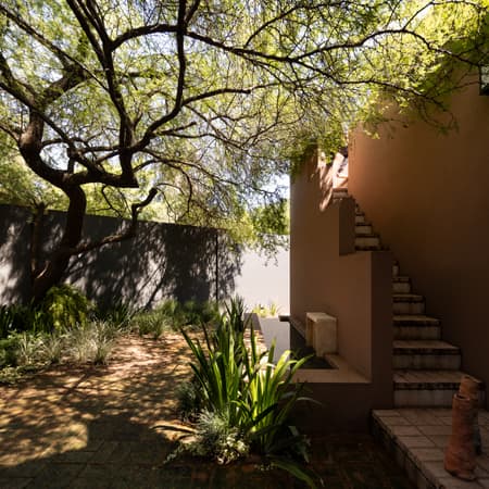 House around the Tree